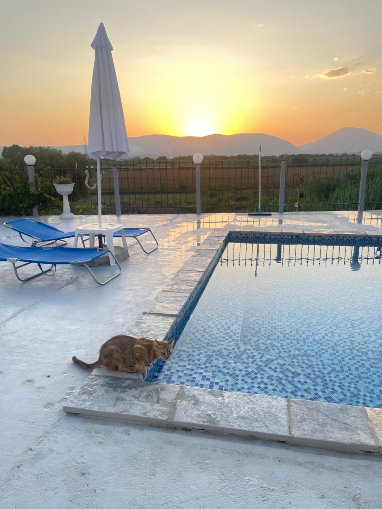 Anastasias Apartments Sarandë Eksteriør bilde